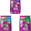 Whiskas Cat Dry Food Adult