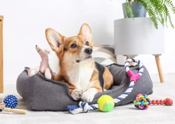 1_copy-1024×536-1.webp 1_copy-1024x536-1.webp